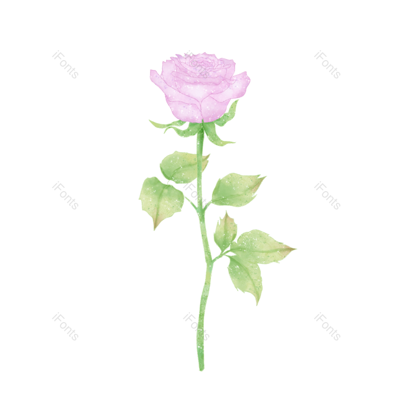 粉色玫瑰图片,520元素,玫瑰PNG,花朵免抠素材